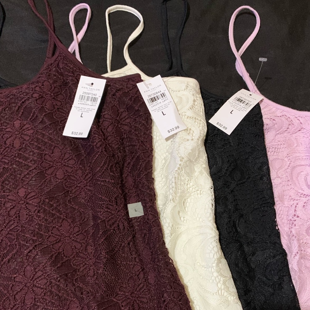 Ann Taylor Camis